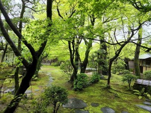 倉敷　大原本邸